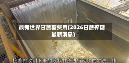 最新世界甘蔗糖费用(2026甘蔗榨糖最新消息)