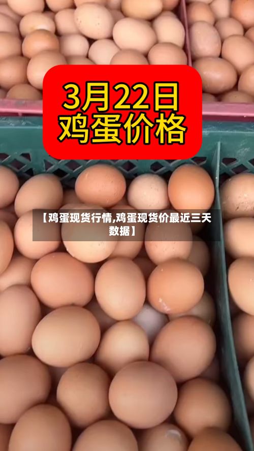 【鸡蛋现货行情,鸡蛋现货价最近三天数据】-第3张图片