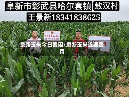 阜新玉米今日费用/阜新玉米近期费用