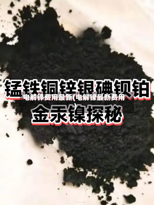 电解锌费用最新(电解镍最新费用)