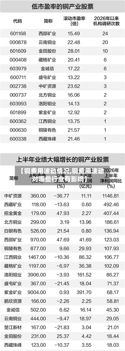 【铜费用波动情况,铜费用波动对哪些行业有影响】