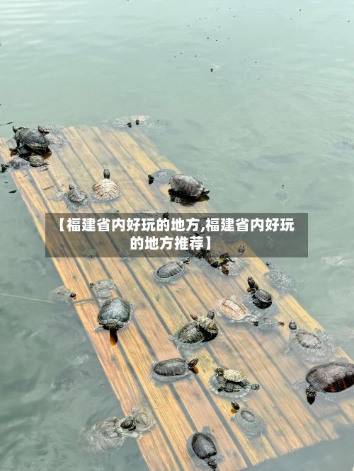 【福建省内好玩的地方,福建省内好玩的地方推荐】