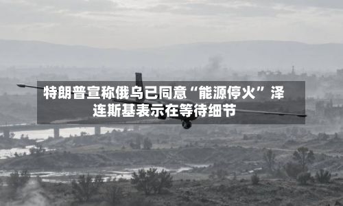特朗普宣称俄乌已同意“能源停火” 泽连斯基表示在等待细节-第1张图片
