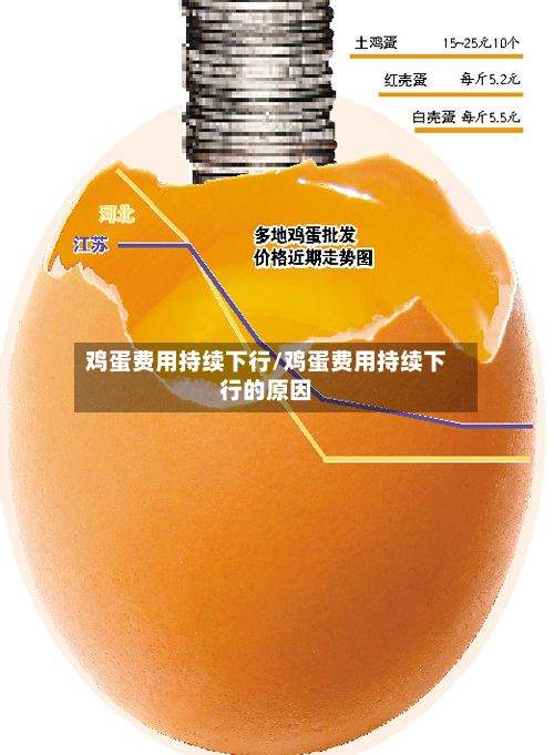 鸡蛋费用持续下行/鸡蛋费用持续下行的原因