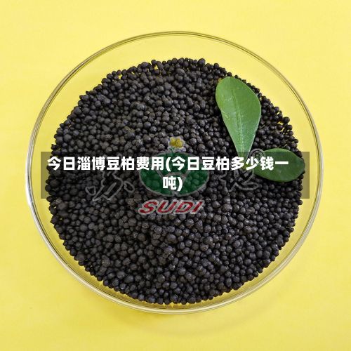 今日淄博豆柏费用(今日豆柏多少钱一吨)