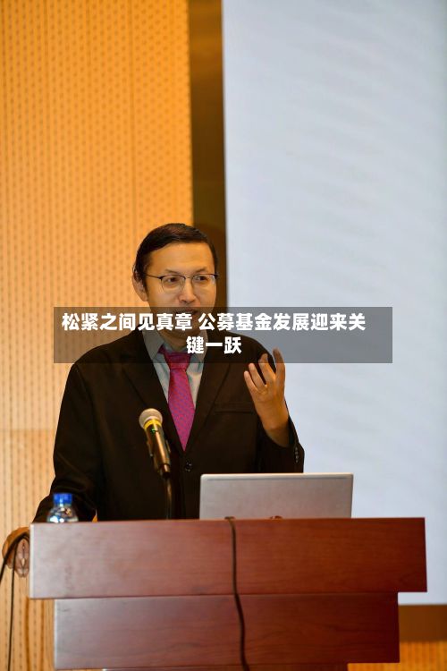 松紧之间见真章 公募基金发展迎来关键一跃