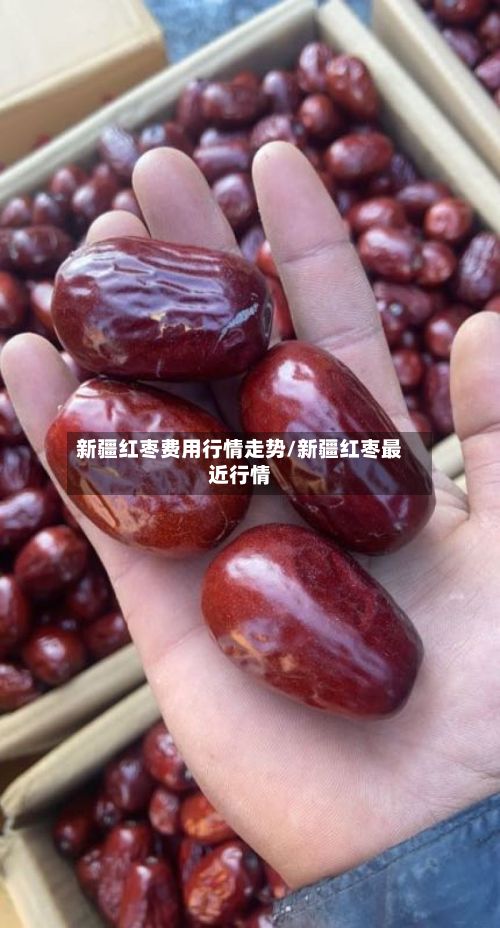 新疆红枣费用行情走势/新疆红枣最近行情
