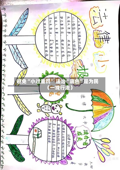 避免“小过重罚	” 法治“底色”是为民（一线行走）-第2张图片