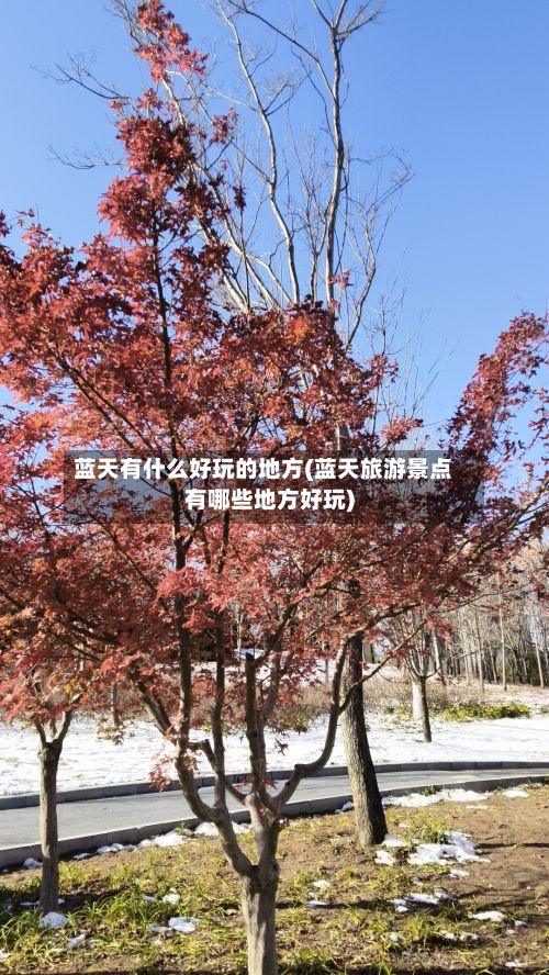 蓝天有什么好玩的地方(蓝天旅游景点有哪些地方好玩)-第2张图片