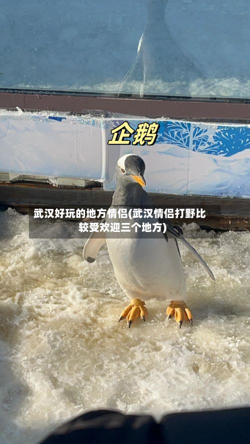 武汉好玩的地方情侣(武汉情侣打野比较受欢迎三个地方)