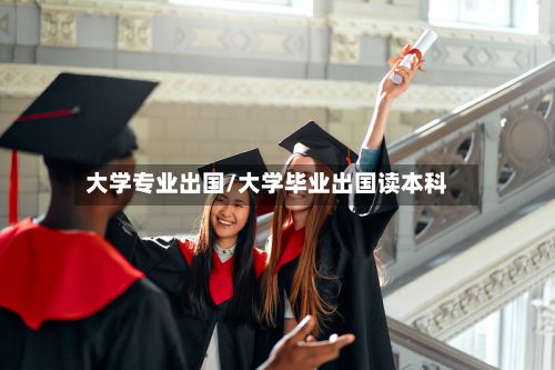 大学专业出国/大学毕业出国读本科-第3张图片