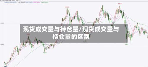 现货成交量与持仓量/现货成交量与持仓量的区别