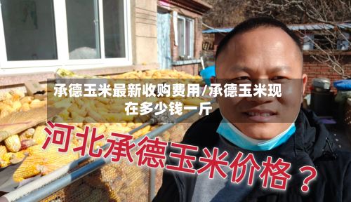 承德玉米最新收购费用/承德玉米现在多少钱一斤