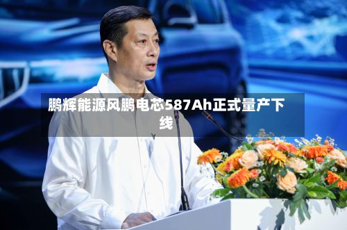鹏辉能源风鹏电芯587Ah正式量产下线-第1张图片