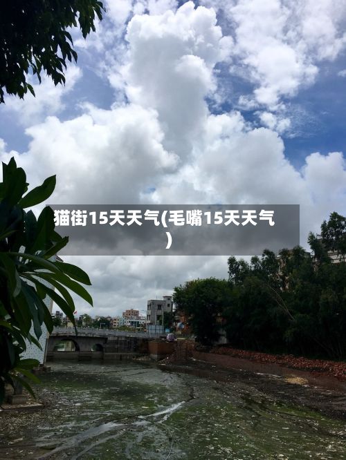 猫街15天天气(毛嘴15天天气)-第3张图片