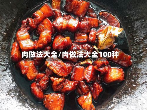 肉做法大全/肉做法大全100种