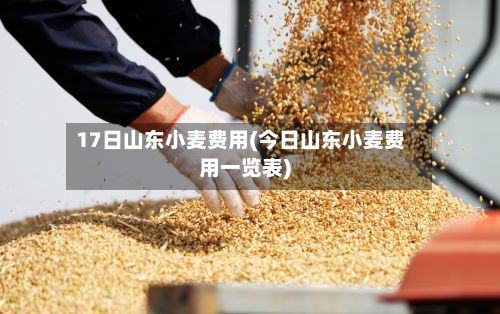 17日山东小麦费用(今日山东小麦费用一览表)