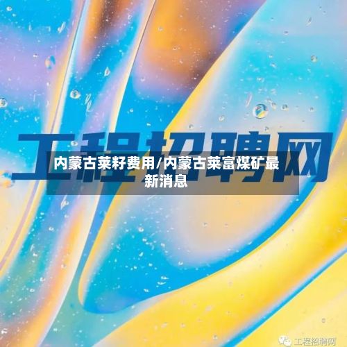 内蒙古莱籽费用/内蒙古莱富煤矿最新消息-第2张图片