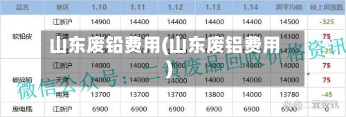 山东废铅费用(山东废铝费用)