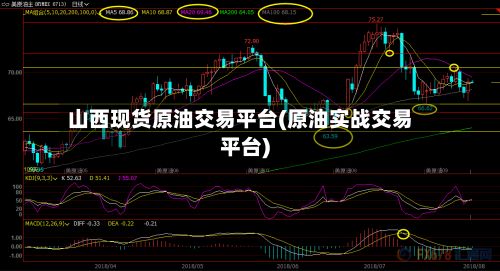 山西现货原油交易平台(原油实战交易平台)