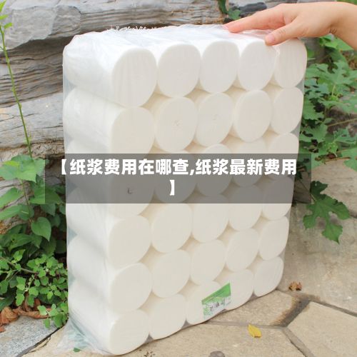 【纸浆费用在哪查,纸浆最新费用】-第2张图片