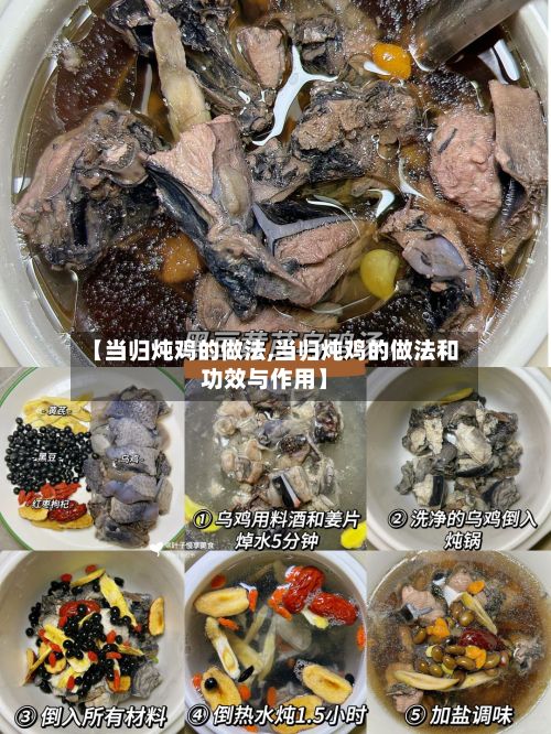 【当归炖鸡的做法,当归炖鸡的做法和功效与作用】