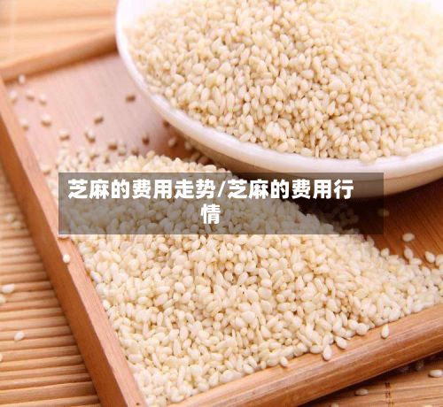 芝麻的费用走势/芝麻的费用行情-第3张图片