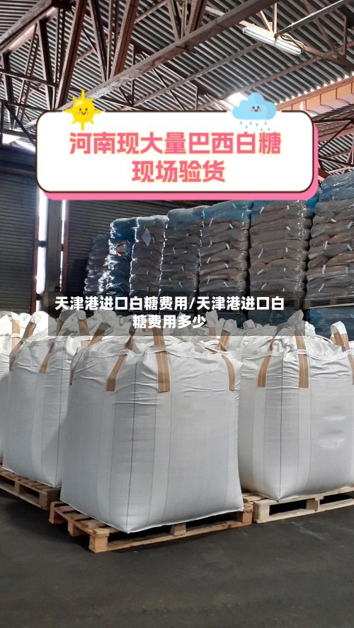 天津港进口白糖费用/天津港进口白糖费用多少