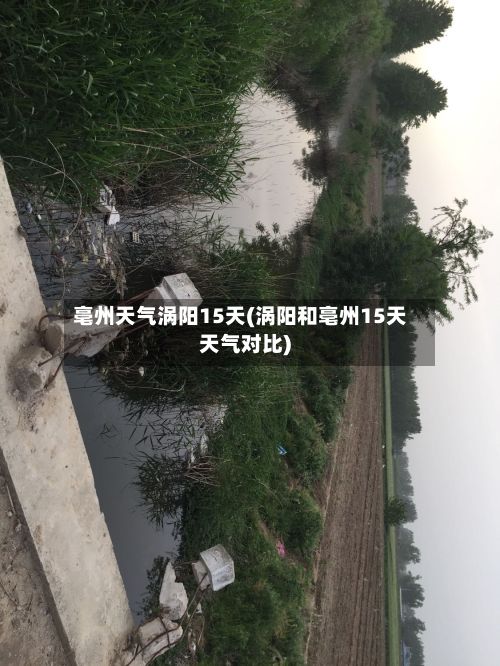 亳州天气涡阳15天(涡阳和亳州15天天气对比)