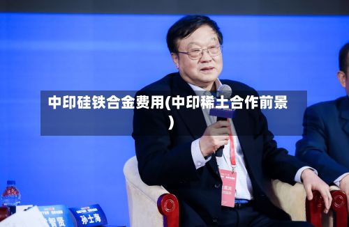 中印硅铁合金费用(中印稀土合作前景)