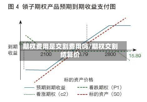 期权费用是交割费用吗/期权交割结算价-第2张图片