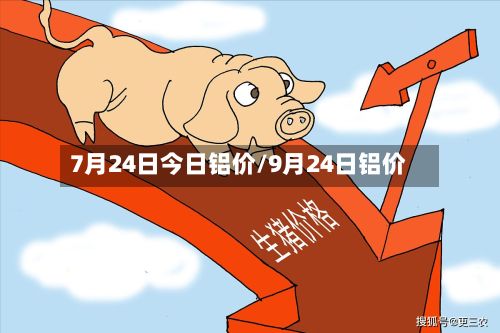 7月24日今日铝价/9月24日铝价-第3张图片