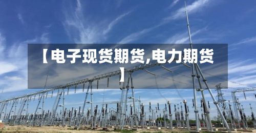 【电子现货期货,电力期货】
