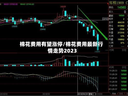 棉花费用有望涨停/棉花费用最新行情走势2023