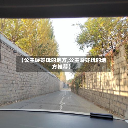 【公主岭好玩的地方,公主岭好玩的地方推荐】