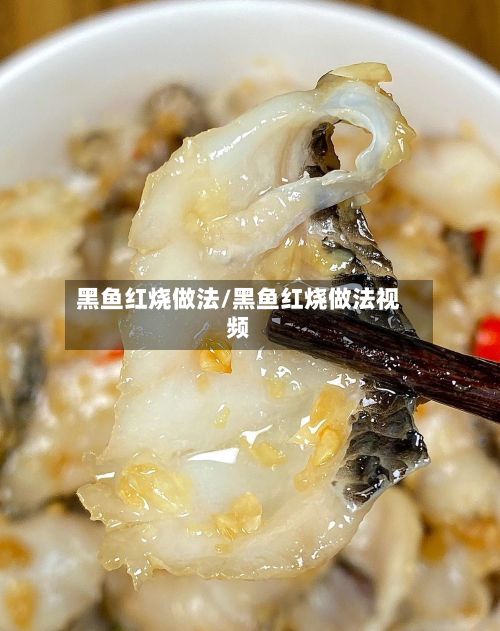 黑鱼红烧做法/黑鱼红烧做法视频-第2张图片