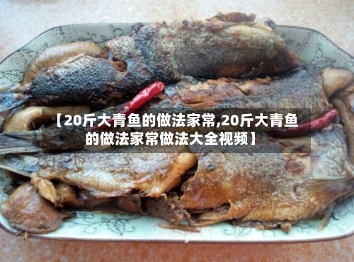 【20斤大青鱼的做法家常,20斤大青鱼的做法家常做法大全视频】