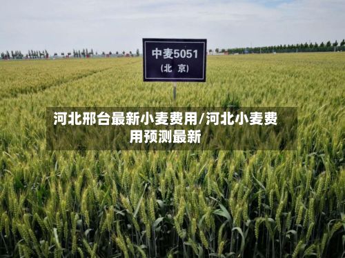 河北邢台最新小麦费用/河北小麦费用预测最新-第2张图片