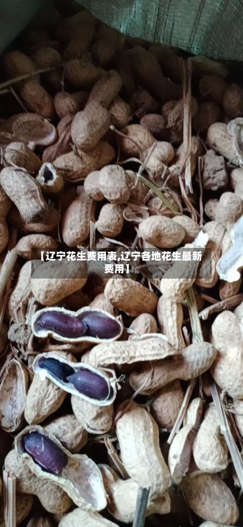 【辽宁花生费用表,辽宁各地花生最新费用】-第2张图片
