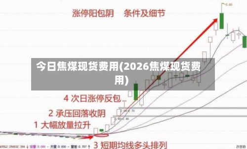今日焦煤现货费用(2026焦煤现货费用)-第2张图片