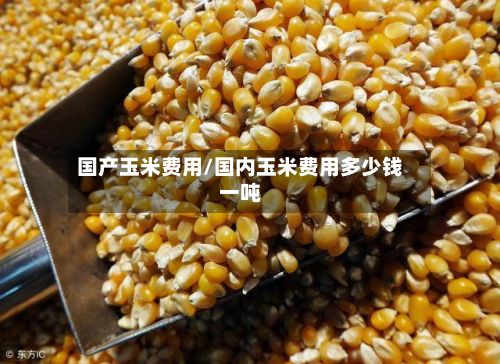 国产玉米费用/国内玉米费用多少钱一吨-第2张图片