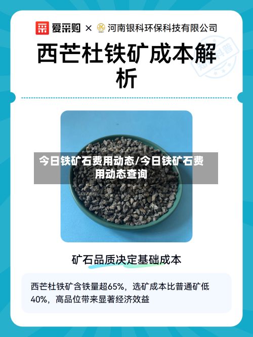 今日铁矿石费用动态/今日铁矿石费用动态查询-第2张图片