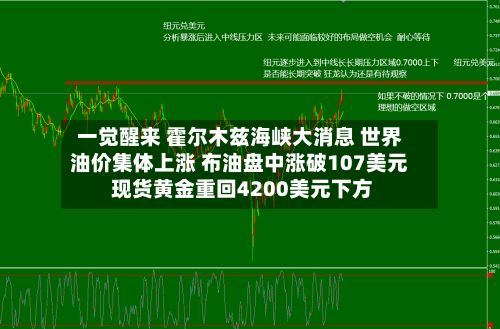 一觉醒来 霍尔木兹海峡大消息 世界
油价集体上涨 布油盘中涨破107美元 现货黄金重回4200美元下方-第2张图片