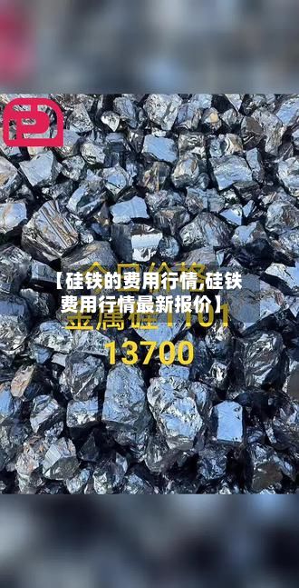 【硅铁的费用行情,硅铁费用行情最新报价】-第2张图片