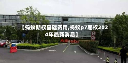 【蚂蚁期权基础费用,蚂蚁p7期权2024年最新消息】-第3张图片