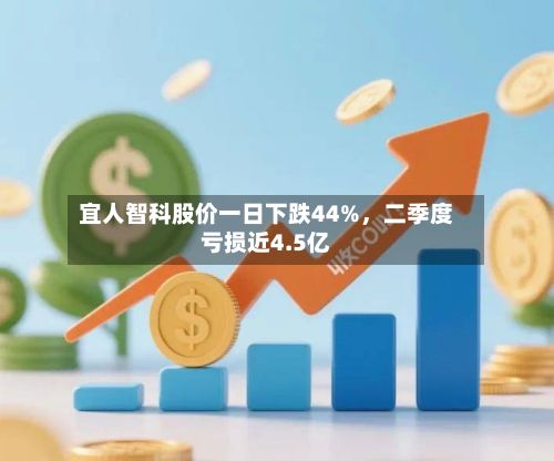 宜人智科股价一日下跌44%，二季度亏损近4.5亿