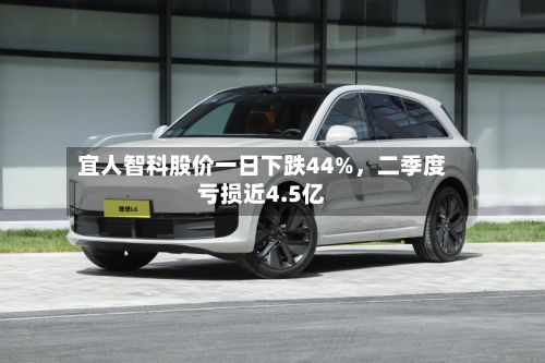 宜人智科股价一日下跌44%，二季度亏损近4.5亿-第3张图片