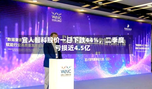 宜人智科股价一日下跌44%，二季度亏损近4.5亿-第2张图片