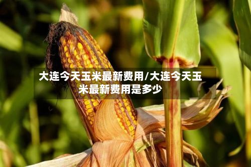 大连今天玉米最新费用/大连今天玉米最新费用是多少-第2张图片