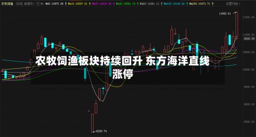 农牧饲渔板块持续回升 东方海洋直线涨停-第2张图片